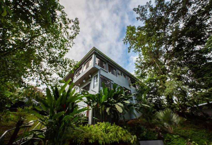 هتل Volcano Gold Loft