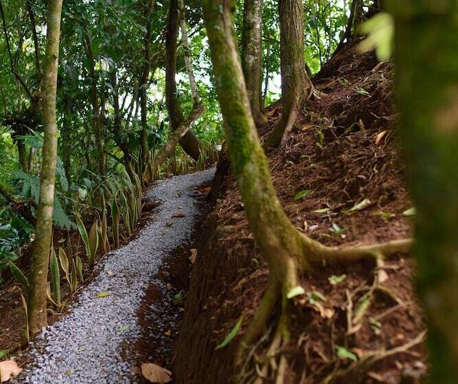 هتل Volcano Gold Loft