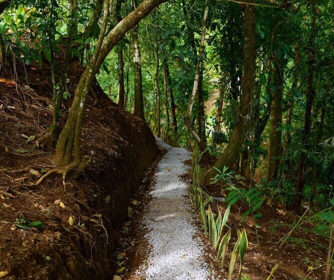 هتل Volcano Gold Loft