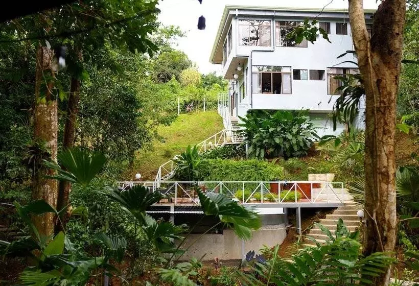 Hotelli Volcano Gold Loft