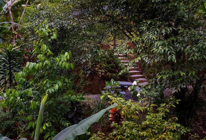 هتل Volcano Gold Loft