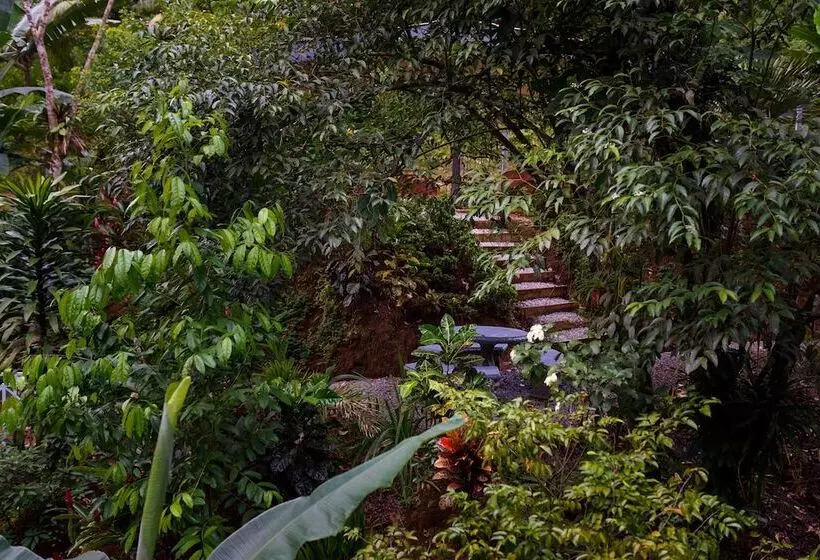 Hotelli Volcano Gold Loft