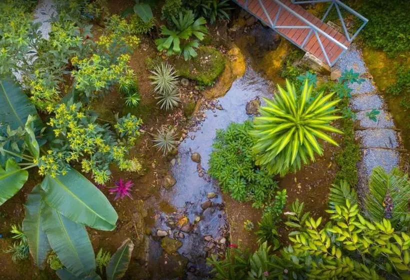 Hotelli Volcano Gold Loft