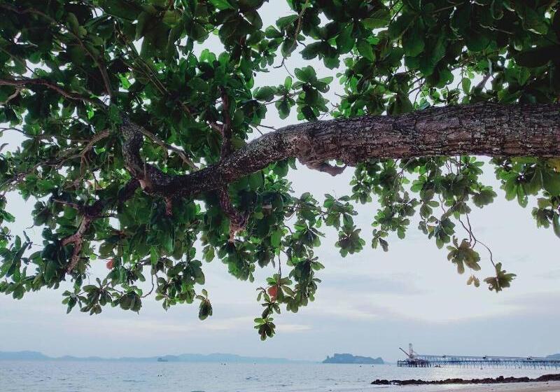 پانسیون Mukrada House Boutique Hometel Krabi