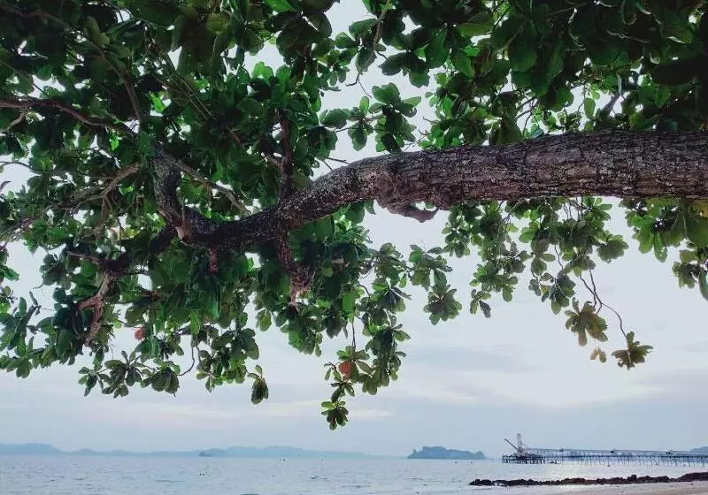 پانسیون Mukrada House Boutique Hometel Krabi