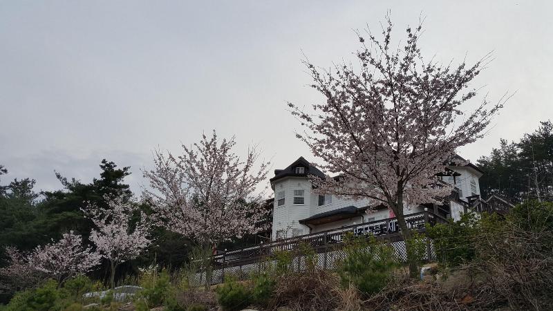 Another World Pension