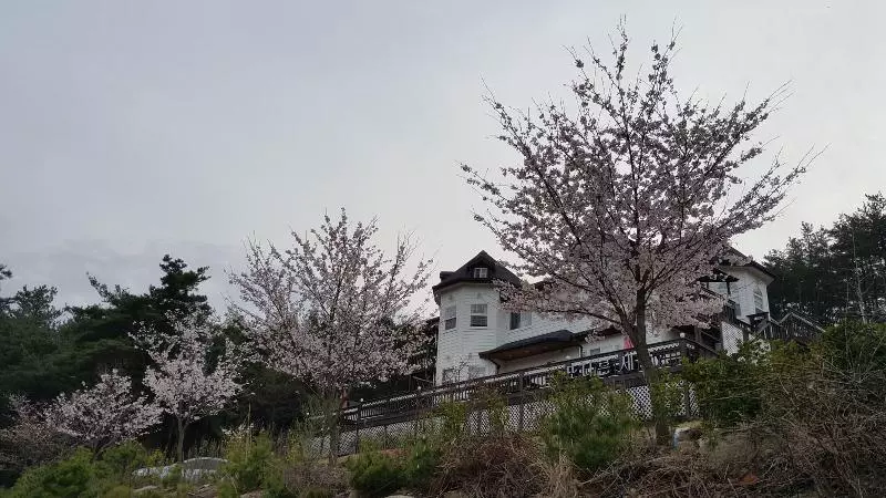 Another World Pension