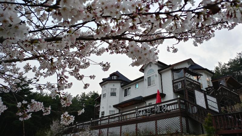 Another World Pension