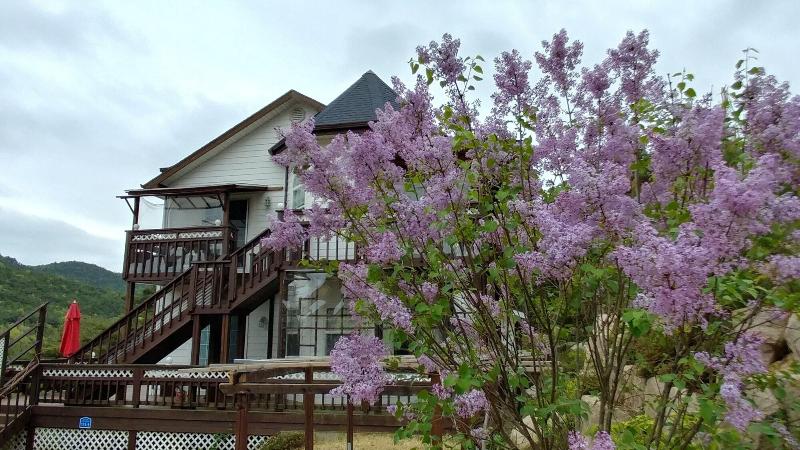 Another World Pension