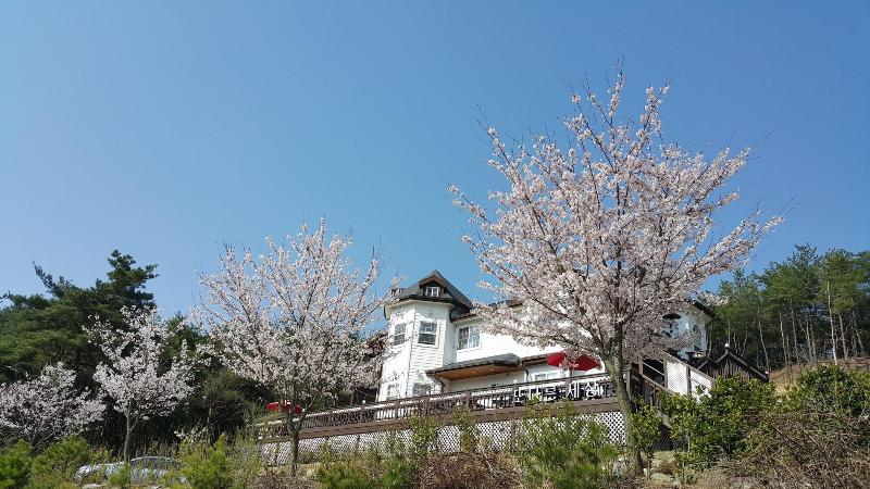 Another World Pension