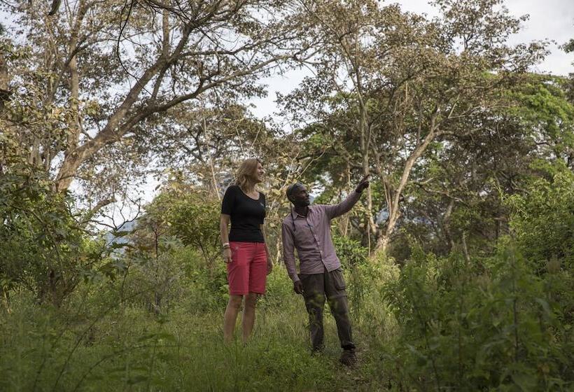 Отель Arusha Villa