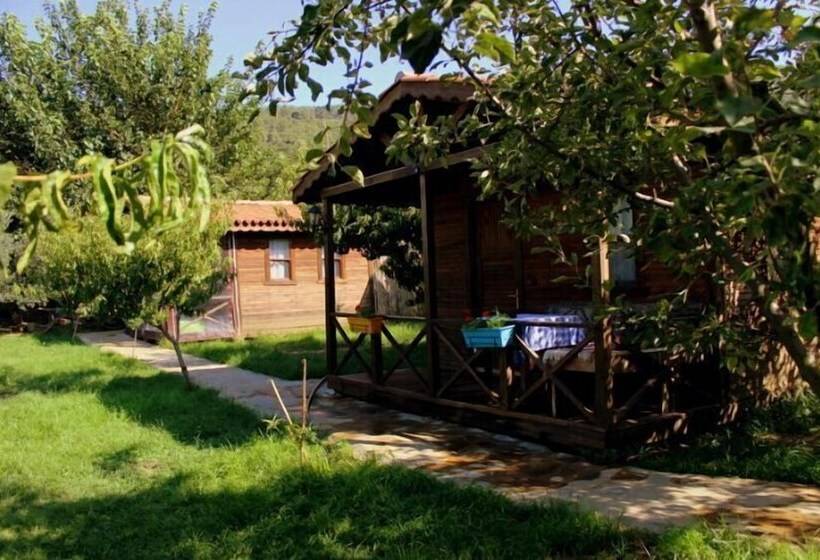 酒店 Salkim Konak Agac Evler