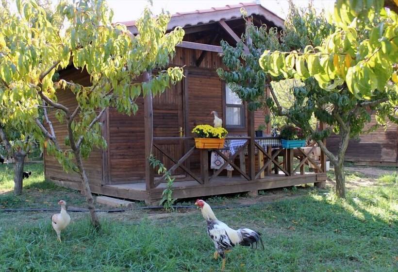 酒店 Salkim Konak Agac Evler