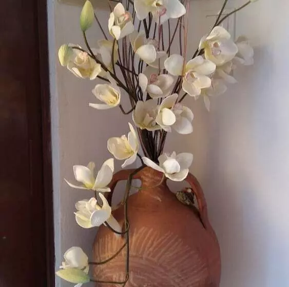 پانسیون Christina Pansion