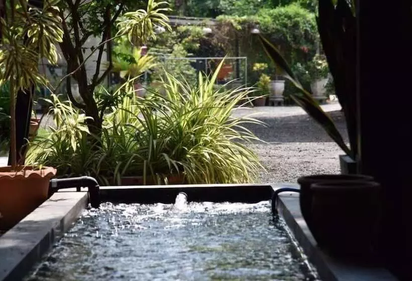 پانسیون Rest Time