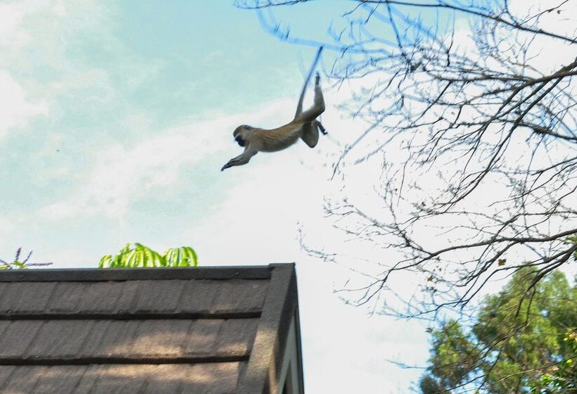 호텔 Karama Lodge & Spa