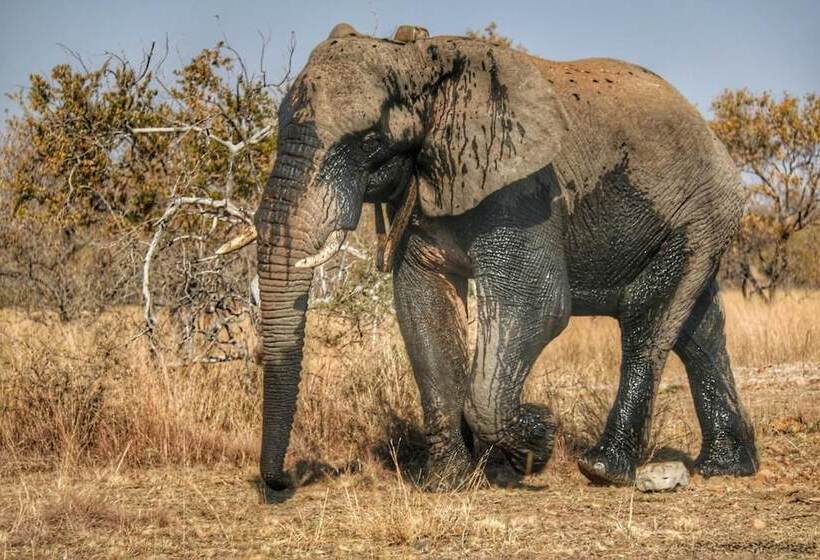 ホテル Ouklip Game Lodge