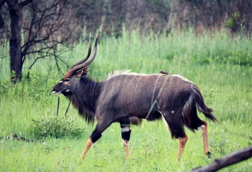 ホテル Ouklip Game Lodge