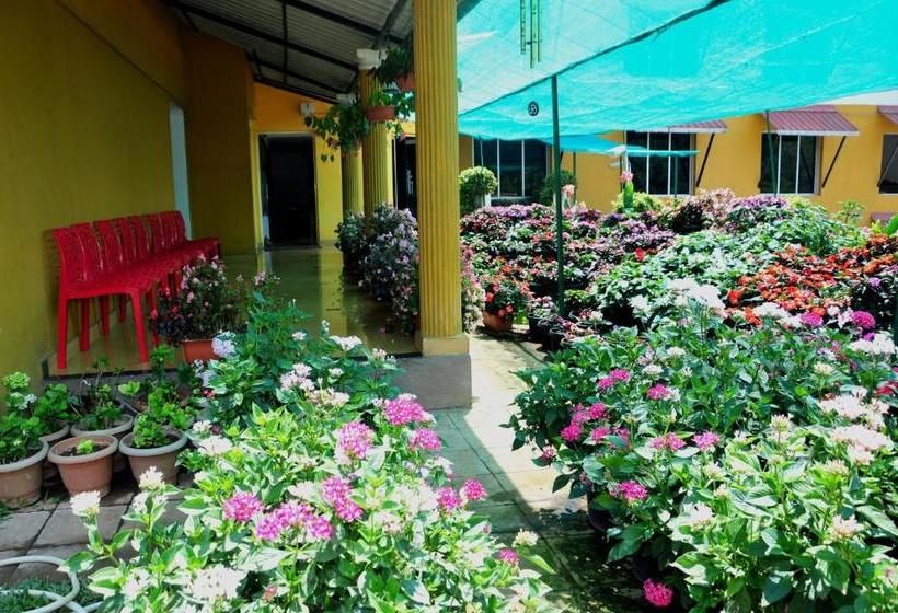 Отель Sri Venkateshwara Residency