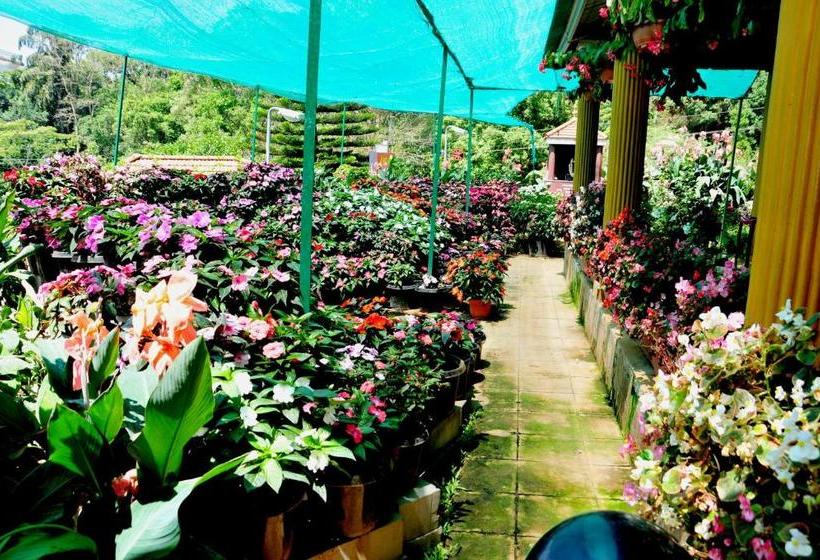 Отель Sri Venkateshwara Residency