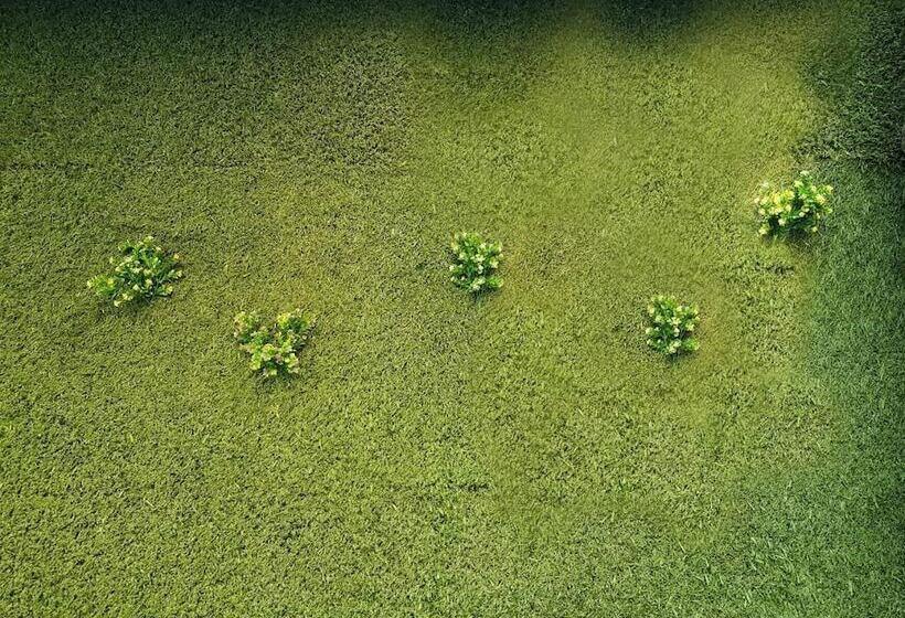 The Lively Hotel Kualanamu Airport Medan