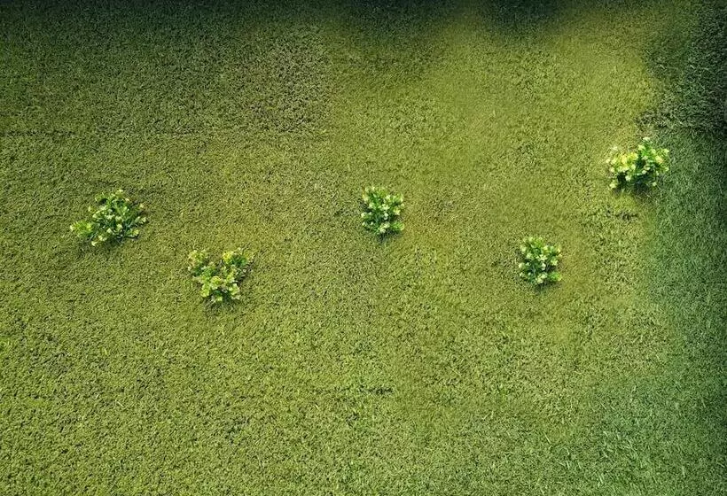 The Lively Hotel Kualanamu Airport Medan