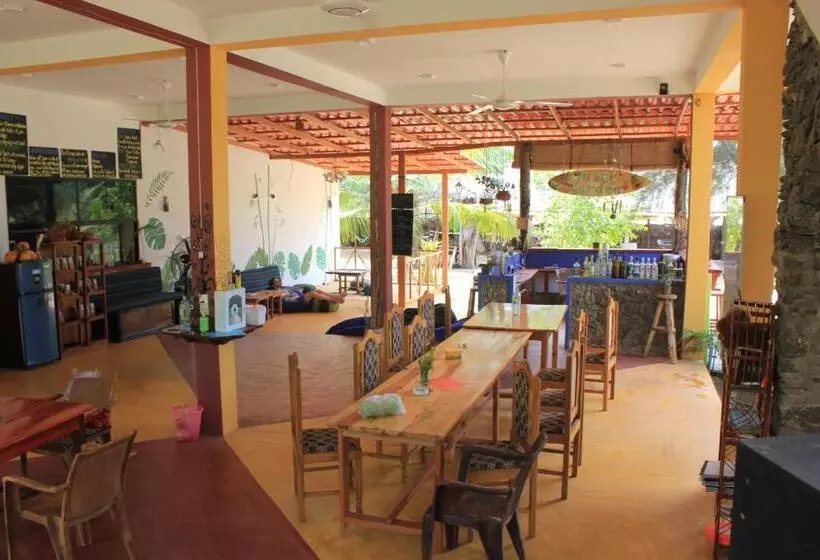 Safasurf Camp   Hostel