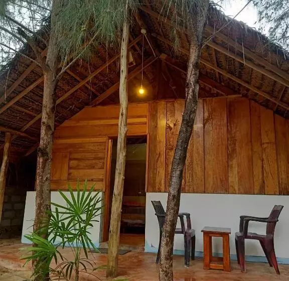 Safasurf Camp   Hostel