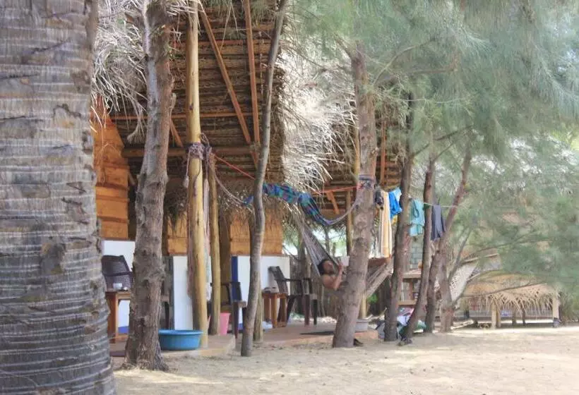 Safasurf Camp   Hostel