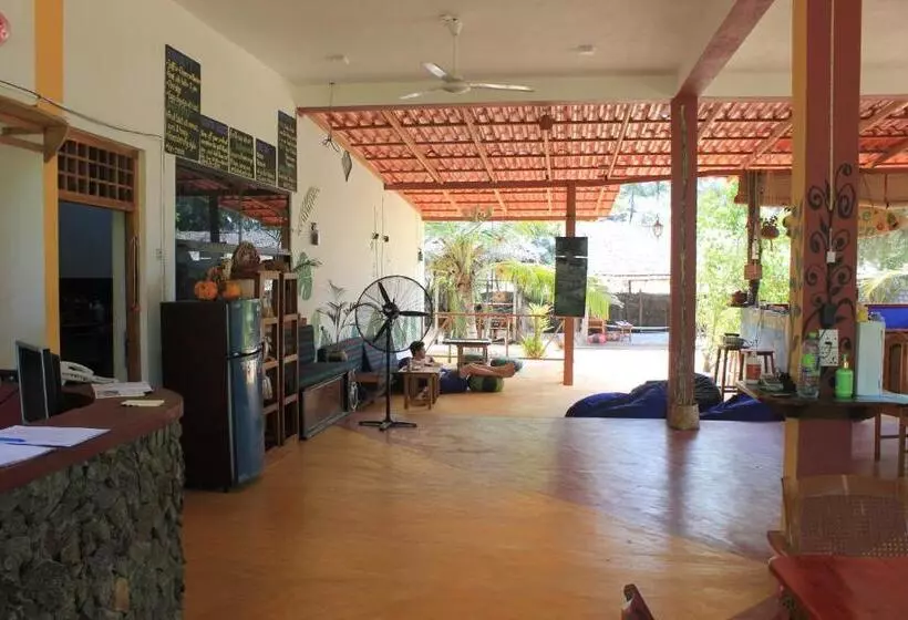Safasurf Camp   Hostel