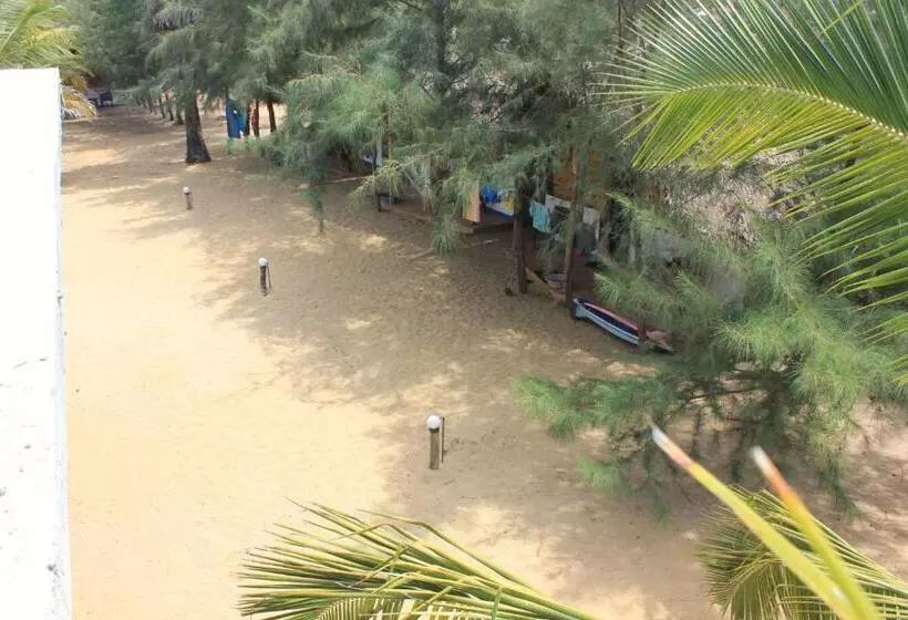 Safasurf Camp   Hostel