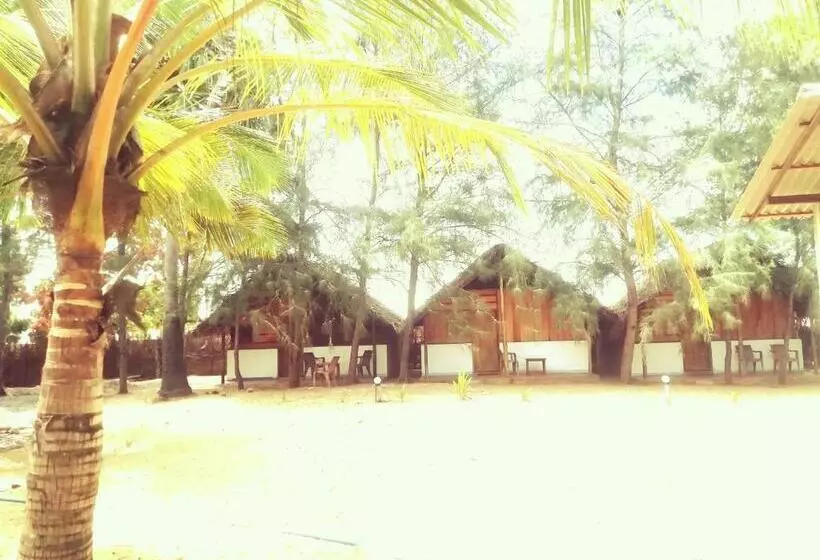 Safasurf Camp   Hostel