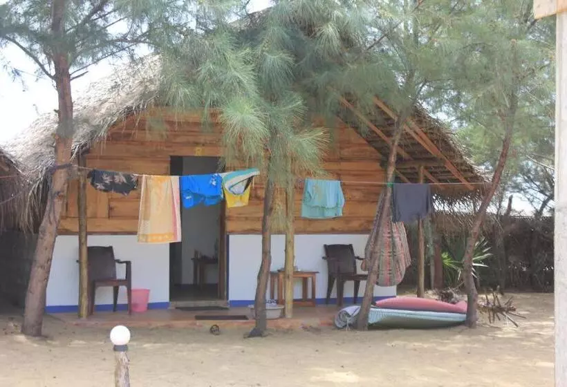 Safasurf Camp   Hostel