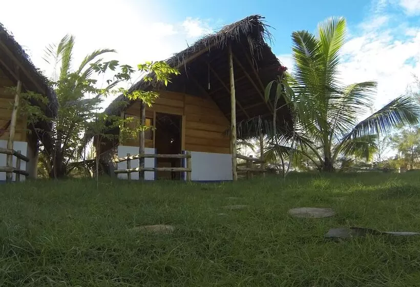 Safasurf Camp   Hostel