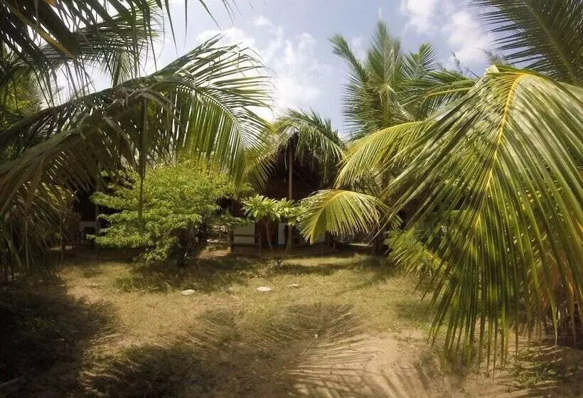 Safasurf Camp   Hostel