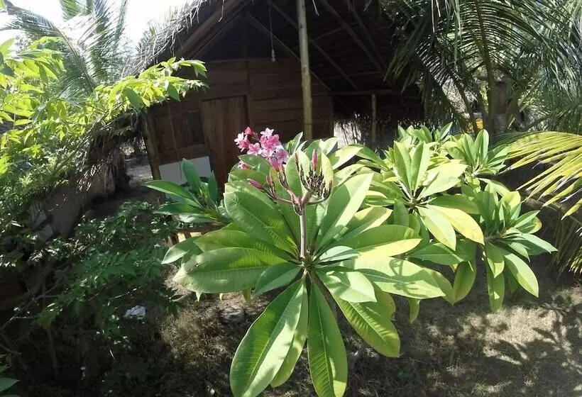 Safasurf Camp   Hostel