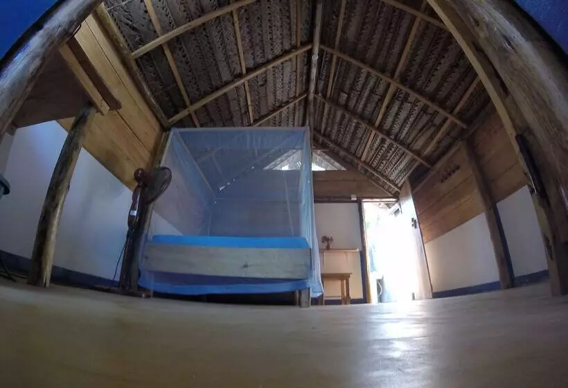 Safasurf Camp   Hostel
