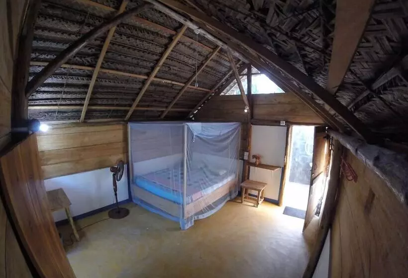 Safasurf Camp   Hostel
