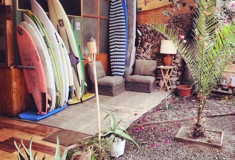فندق فئة نجمة واحدة Arica Surf House