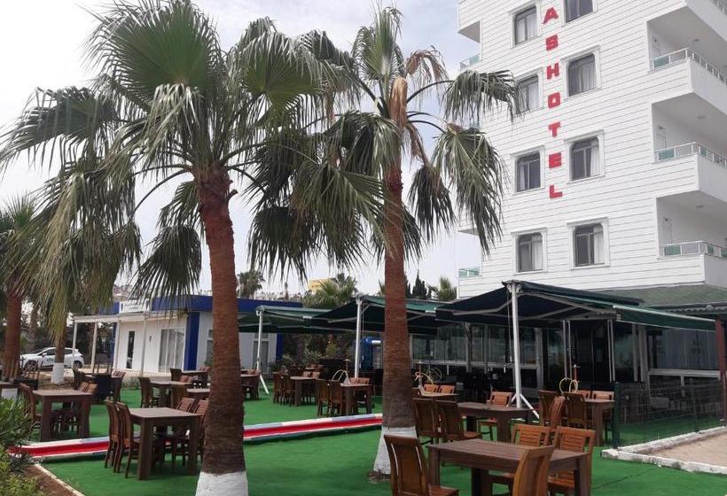 בית מלון כפרי Has