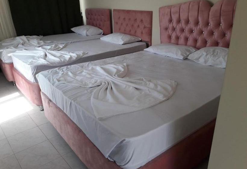 בית מלון כפרי Has