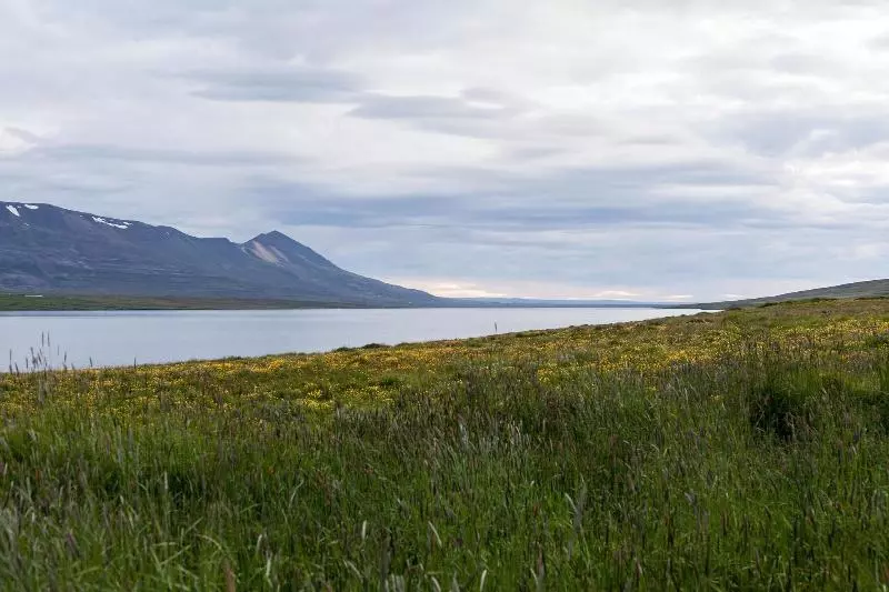 پانسیون Guesthouse Svinavatn