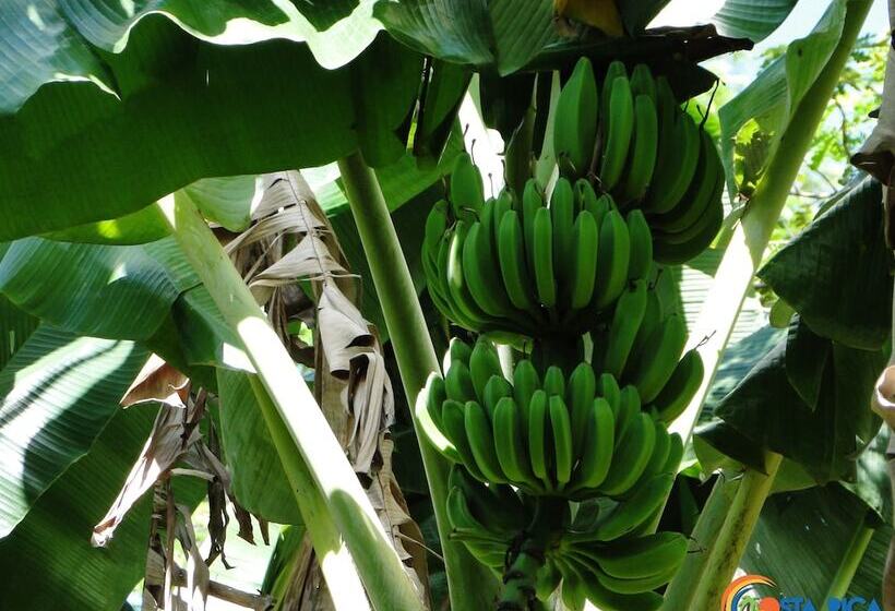 בית מלון כפרי Claudio & Gloria Beach Front