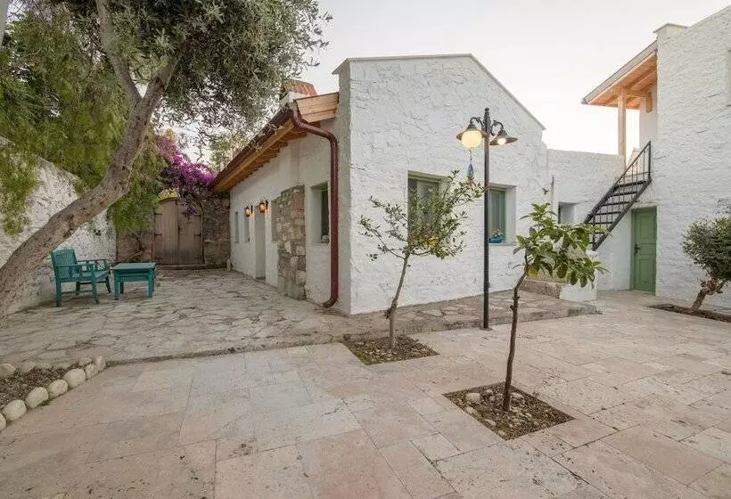 Hotelli Kaya Guest House