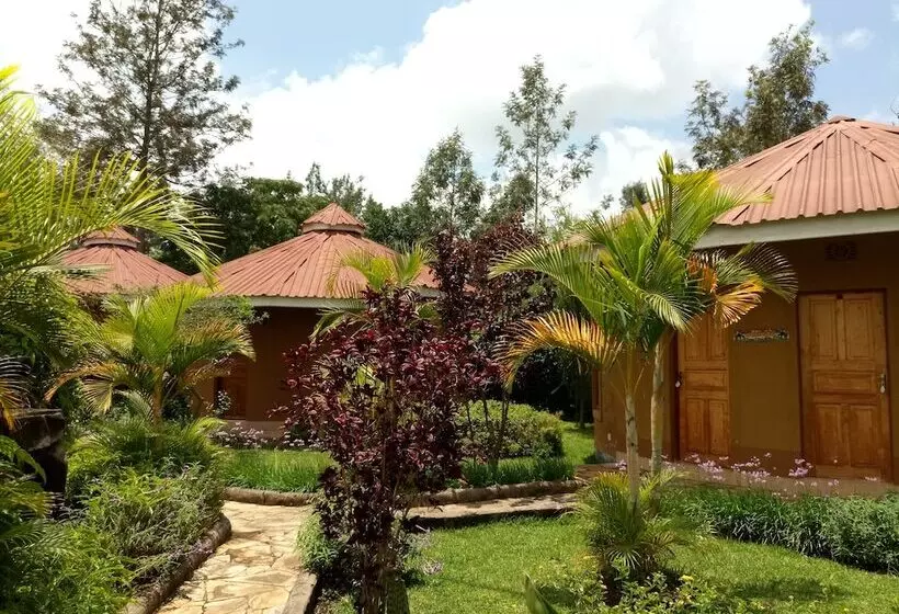 هتل Kilimanjaro Eco Lodge