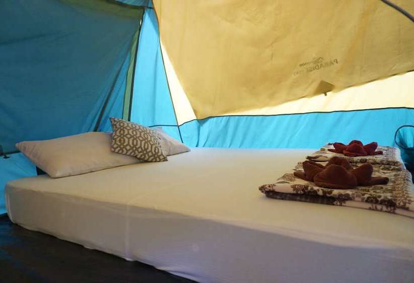 酒店 Tonphet Greenery Garden