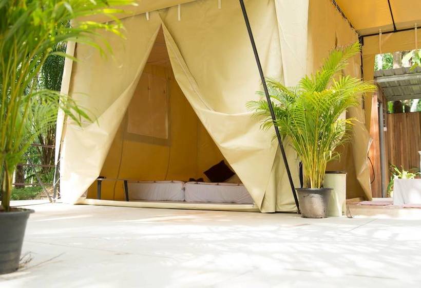 酒店 Tonphet Greenery Garden