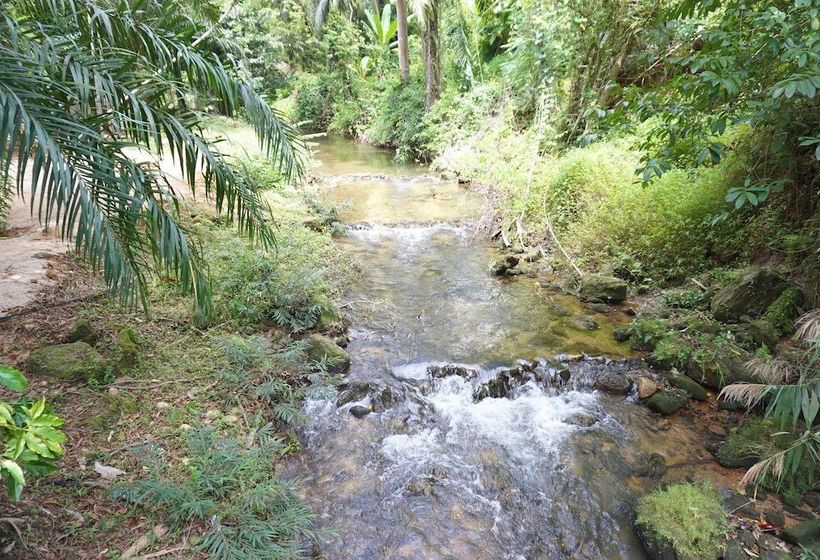 酒店 Tonphet Greenery Garden