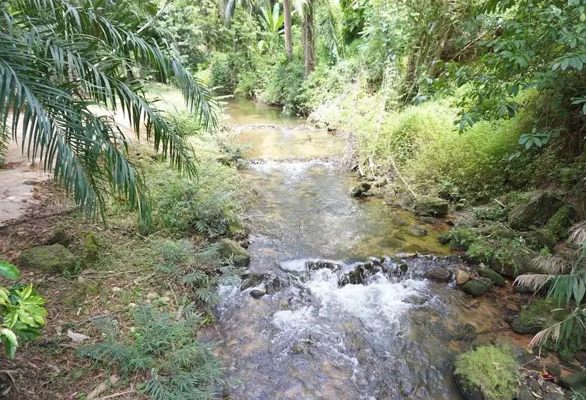 هتل Tonphet Greenery Garden