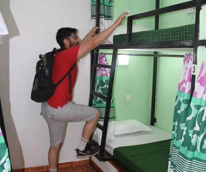 Market Backpackers   Hostel